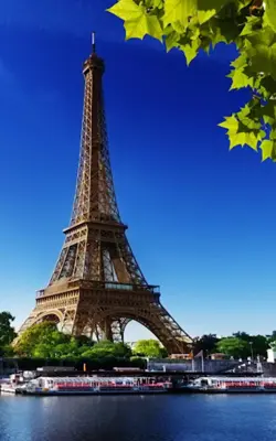 Sunny Paris Live Wallpaper android App screenshot 3