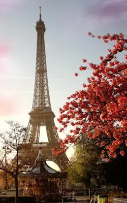 Sunny Paris Live Wallpaper android App screenshot 6